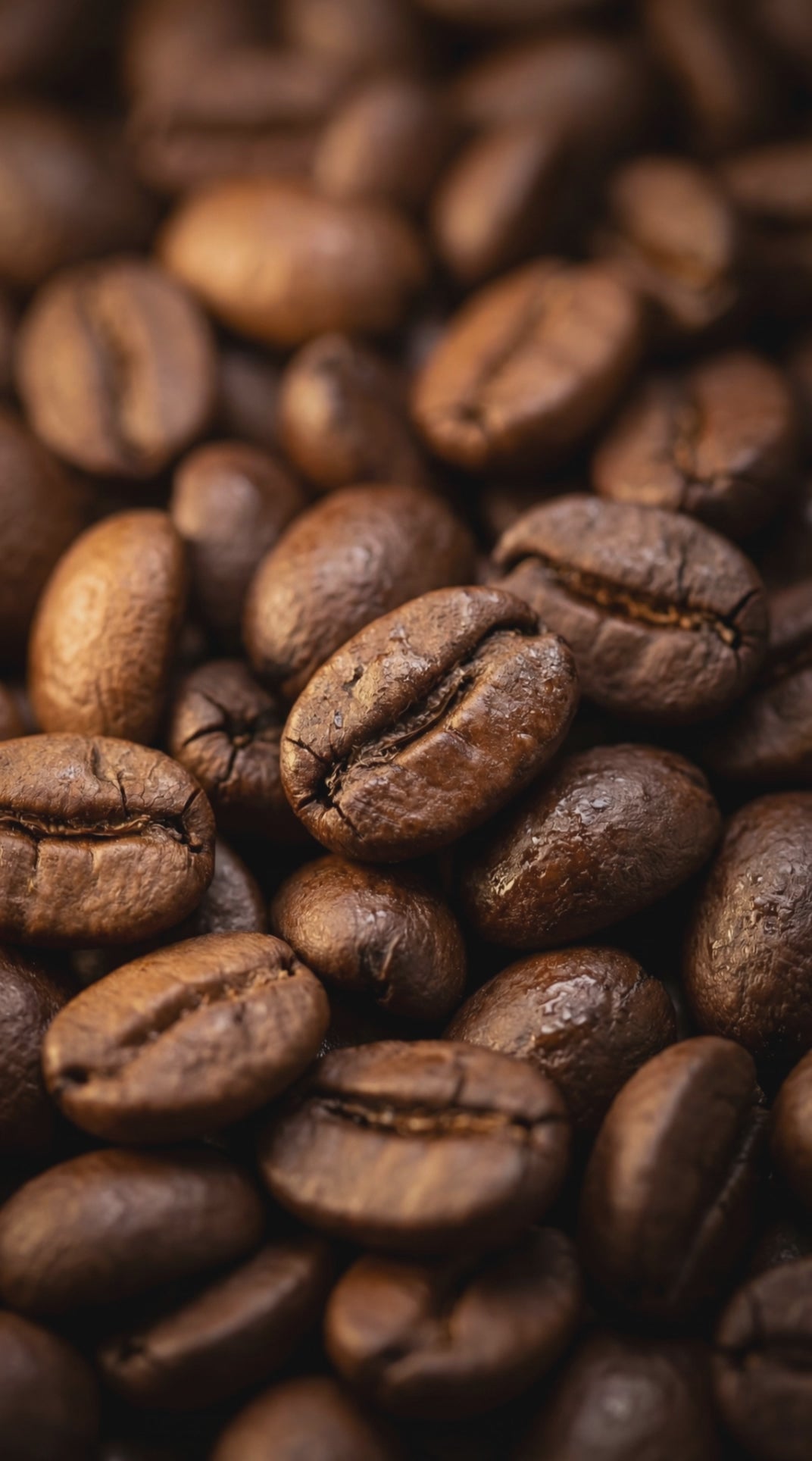 Café Stock Privado El Turco en video